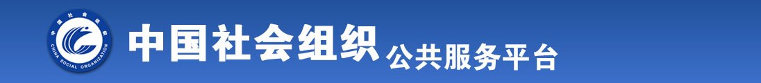 干b免费的视频全国社会组织信息查询